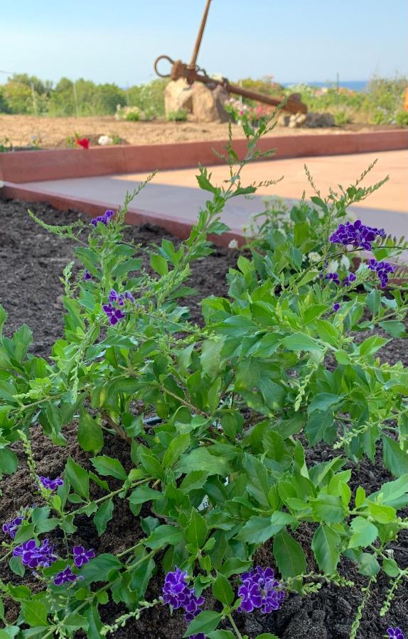 לינה וארוחת בוקר קאסטלסארדו Residenza “La Vecchia Ancora” מראה חיצוני תמונה